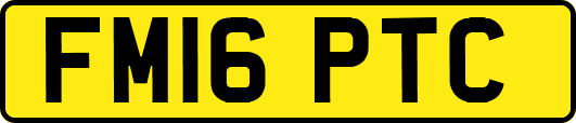 FM16PTC