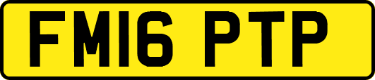 FM16PTP