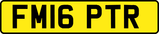 FM16PTR