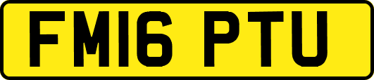 FM16PTU