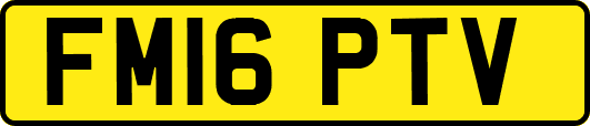FM16PTV