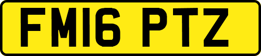 FM16PTZ