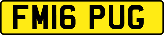 FM16PUG