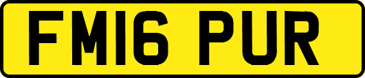 FM16PUR
