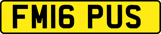 FM16PUS