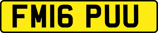 FM16PUU