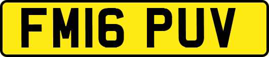 FM16PUV