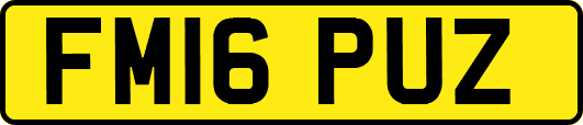 FM16PUZ