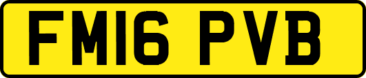 FM16PVB