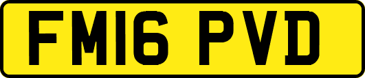 FM16PVD