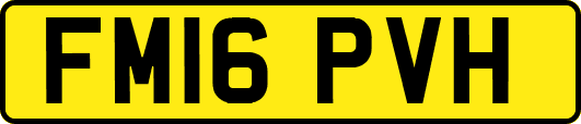 FM16PVH