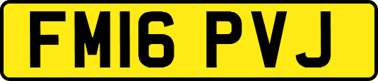 FM16PVJ