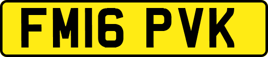 FM16PVK