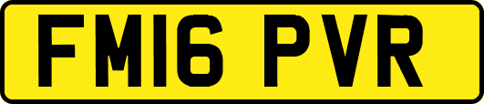 FM16PVR