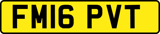 FM16PVT