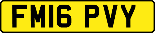 FM16PVY