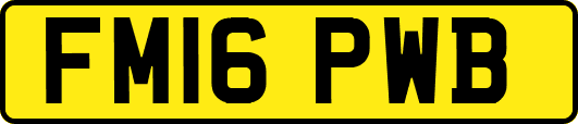 FM16PWB