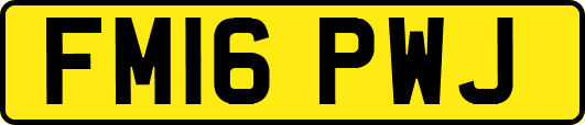 FM16PWJ