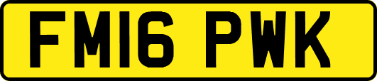 FM16PWK
