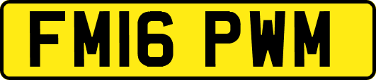 FM16PWM