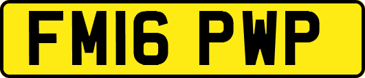 FM16PWP