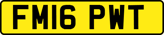 FM16PWT