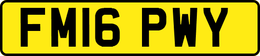 FM16PWY