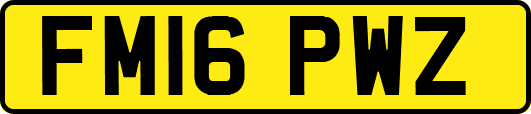 FM16PWZ