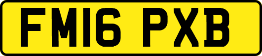 FM16PXB