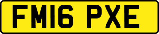 FM16PXE