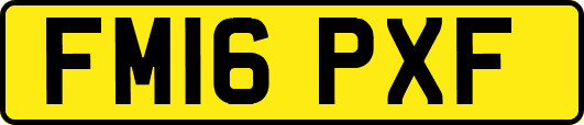 FM16PXF