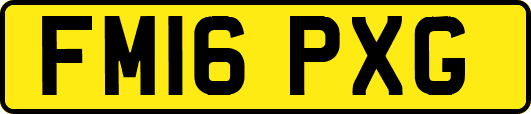 FM16PXG