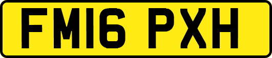 FM16PXH