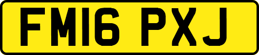 FM16PXJ