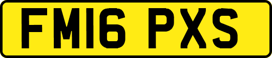 FM16PXS