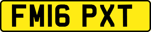 FM16PXT