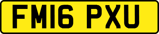 FM16PXU
