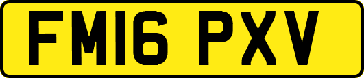 FM16PXV