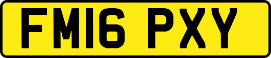 FM16PXY