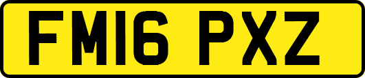 FM16PXZ