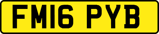 FM16PYB
