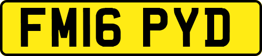 FM16PYD