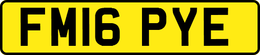 FM16PYE