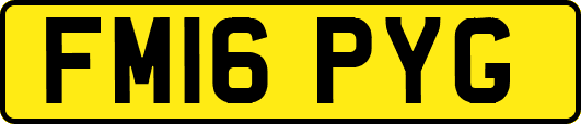 FM16PYG