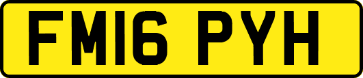 FM16PYH