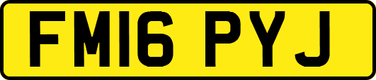 FM16PYJ