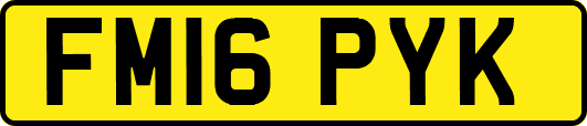 FM16PYK