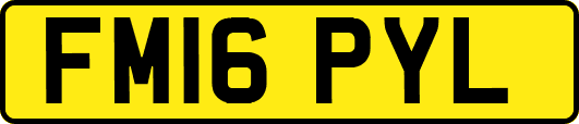 FM16PYL