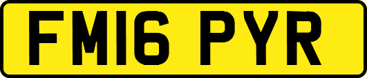FM16PYR