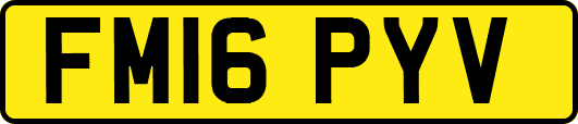 FM16PYV
